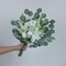 Artificial Greenery Stems Box Set(Pack of 75pcs) with 8 Kinds of Faux Plants and Fake Flowers for DIY Wedding Bouquet Table Centerpieces and Floral Arrangement (White&Green)